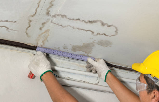Affordable Ceiling Water Damage Repair solutions in Parkston, SD